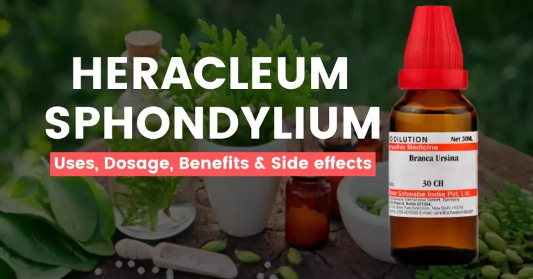 Heracleum Sphondylium (Branca Ursina) Uses, Benefits & Side Effects