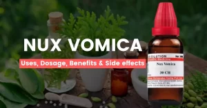 Nux Vomica 30, 200, 1M Uses, Benefits, Dosage & Side Effects