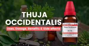 Thuja Occidentalis 30, 200, 1M Uses, Benefits & Side Effects