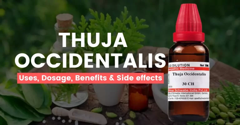 Thuja Occidentalis 30, 200, 1M Uses, Benefits & Side Effects