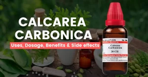 Calcarea Carbonica 30, 200, 1M Uses, Benefits & Dosage
