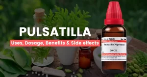 Pulsatilla Nigricans 30, 200, 1M Uses, Benefits & Side Effects