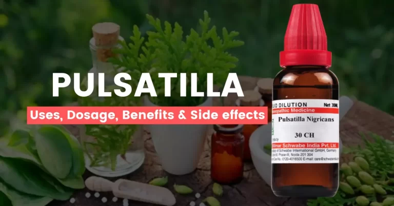 Pulsatilla Nigricans 30, 200, 1M Uses, Benefits & Side Effects