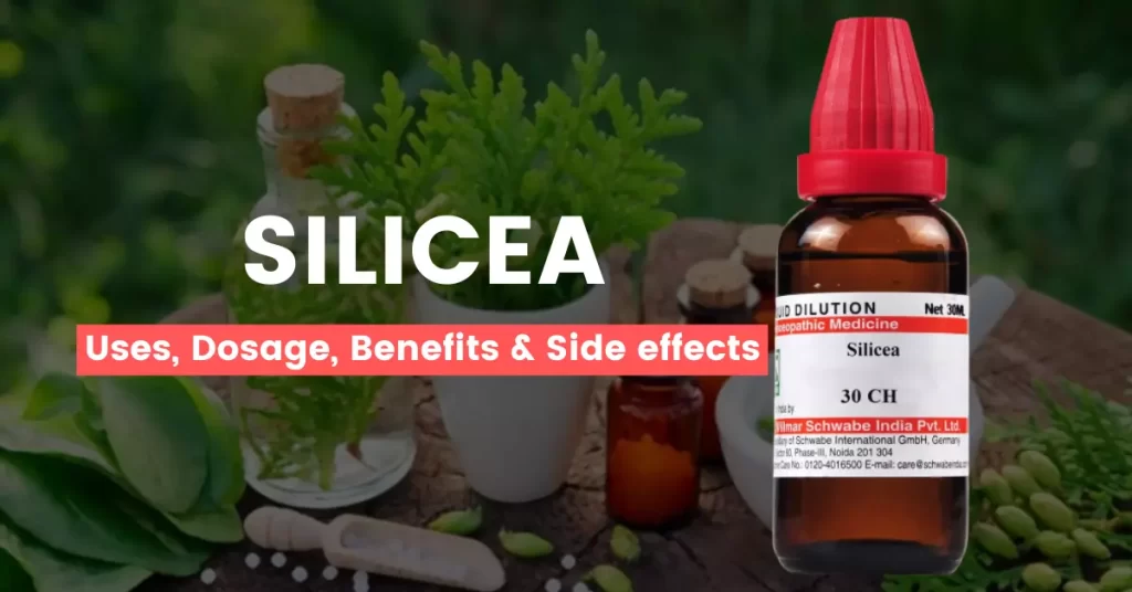 Silicea 30, 200, 1M Best Uses, Benefits & Side Effects