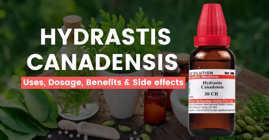 Hydrastis Canadensis 30, 200, 1M Best Uses & Side Effects