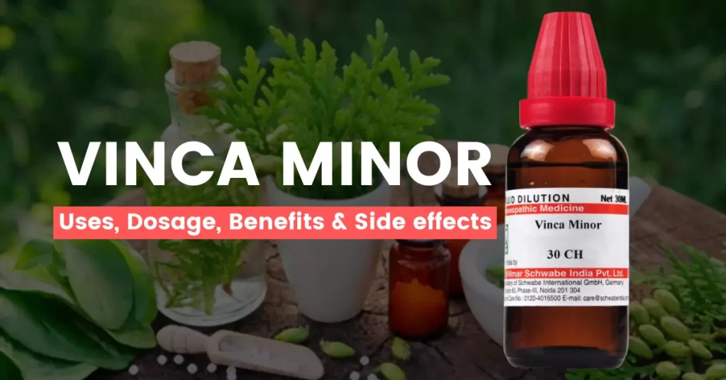 Vinca Minor 30, 200, 1M – Uses, Benefits & Side Effects