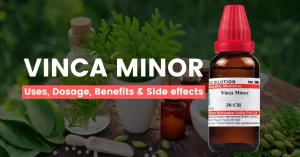 Vinca Minor 30, 200, 1M – Uses, Benefits & Side Effects