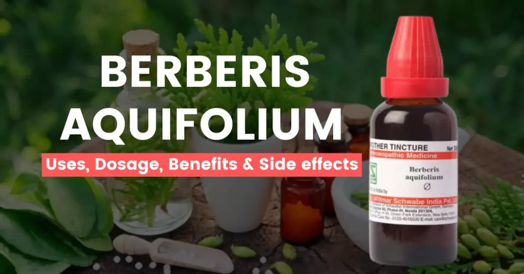 Berberis Aquifolium 30, 200 Q- Uses, Benefits & Side Effects