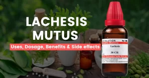 Lachesis Mutus 30, 200, 1M – Uses, Benefits & Side Effects