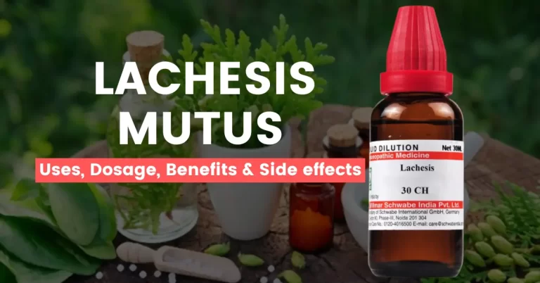 Lachesis Mutus 30, 200, 1M – Uses, Benefits & Side Effects