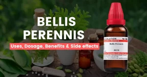 Bellis Perennis 30, 200, 1M – Uses, Benefits & Side Effects