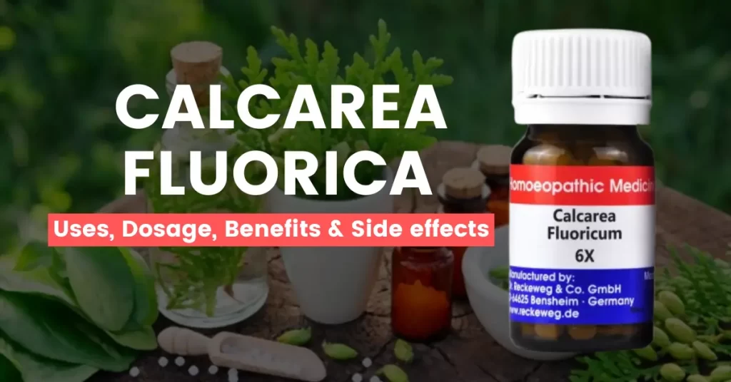 Calcarea Fluorica 6X, 3X, 30 – Uses, Benefits & Side Effects