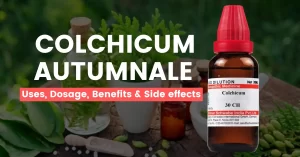 Apocynum Cannabinum 30, 200 – Uses, Benefits & Side Effects