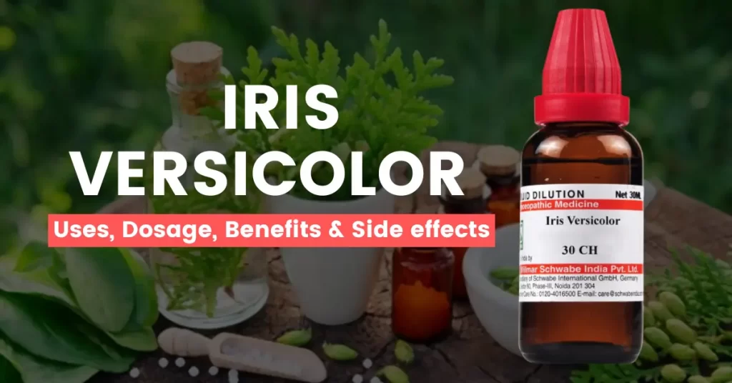 Iris Versicolor 30, 200, Q – Uses, Benefits & Side Effects