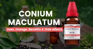 Conium Maculatum 30, 200, Q – Uses, Benefits & Side Effects