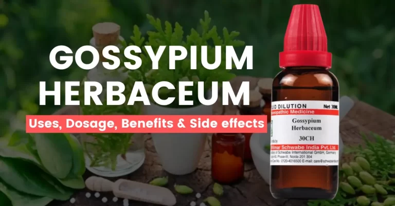 Gossypium Herbaceum 30, 200, Q – Uses, Benefits & Side Effects