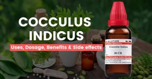 Cocculus Indicus 30, 200, Q – Uses, Benefits & Side Effects