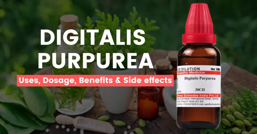 Digitalis Purpurea 30, 200, 1M, Q – Uses & Side Effects