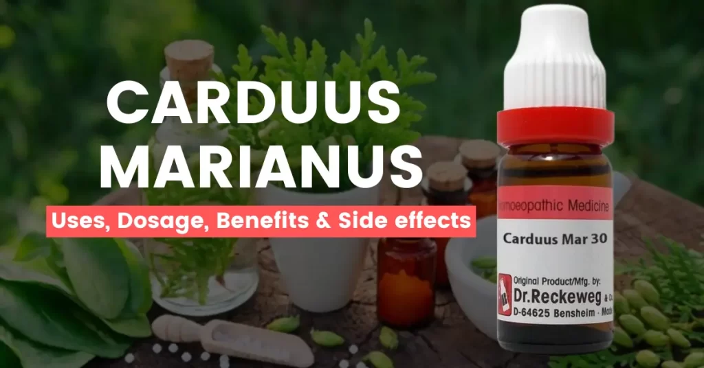 Carduus Marianus 30, 200, 1M - Uses, Benefits and Side Effects