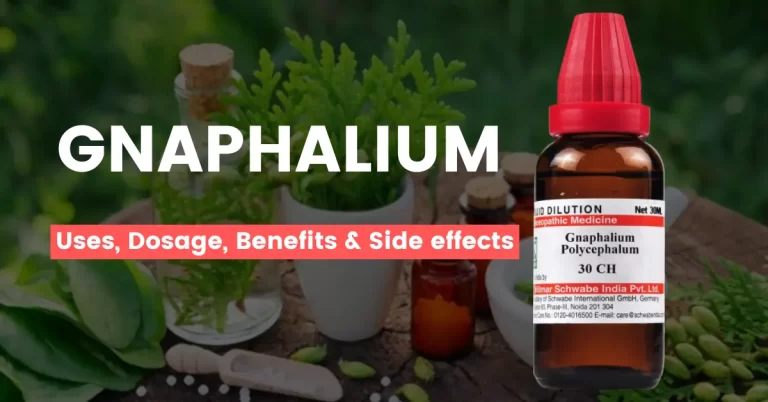 Gnaphalium 30, 200, 1M, Mother Tincture – Uses, Benefits & Side Effects