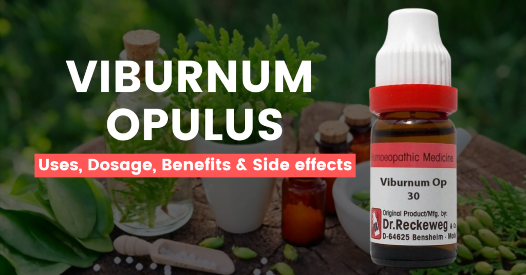 Viburnum Opulus 30, 200, Q, 1M - Uses, Benefits and Side Effects