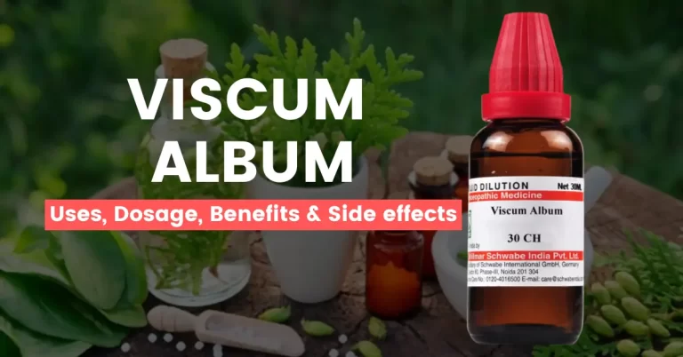 Viscum Album 30, 200, Q, 1M – Uses, Benefits & Side Effects