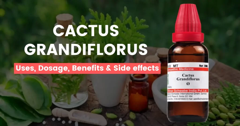 Cactus Grandiflorus 30, 200 – Uses, Benefits & Side Effects