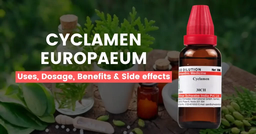 Cyclamen Europaeum 30, 200 – Uses, Benefits & Side Effects