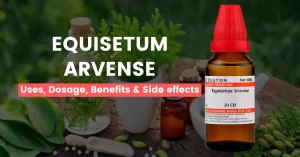 Equisetum Arvense 30, 200, Q – Uses, Benefits & Side Effects