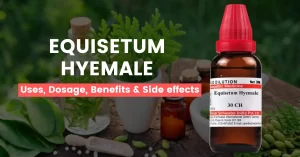 Equisetum Hyemale 30, 200, Q- Uses, Benefits & Side Effects
