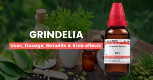 Grindelia Robusta 30, Q –  Uses, Benefits & Side Effects