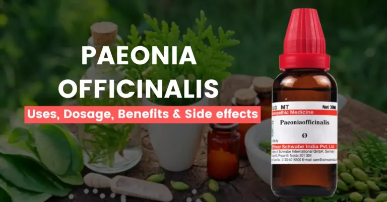 Paeonia Officinalis 30, 200- Uses, Benefits & Side Effects