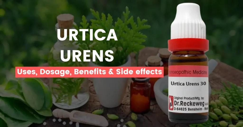Urtica Urens 30, 200, 1M, Q- Uses, Benefits & Side Effects