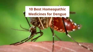 10 Best Homeopathic Medicine for Dengue