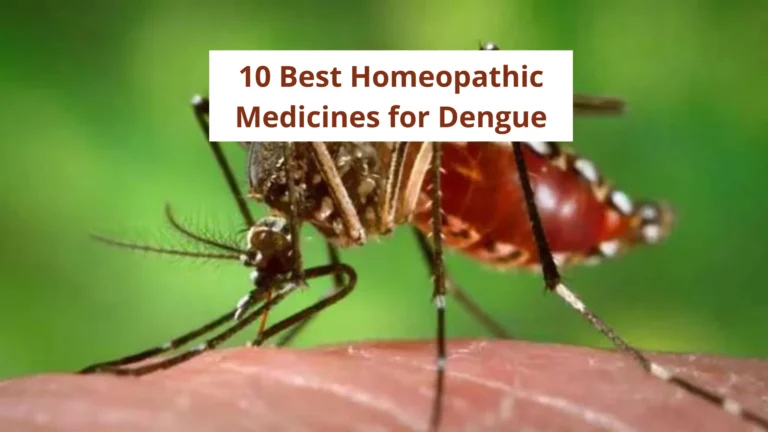 10 Best Homeopathic Medicine for Dengue