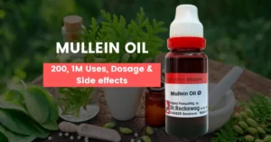 Mullein Oil Homeopathic Medicine Uses, Benefits & Side Effects