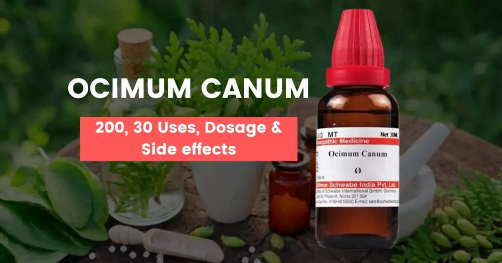 Ocimum Canum Q, Ocimum Canum 30, 200 Uses & Benefits