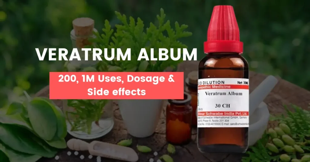 Veratrum Album 30, Veratrum Album 200 Uses and Side Effects