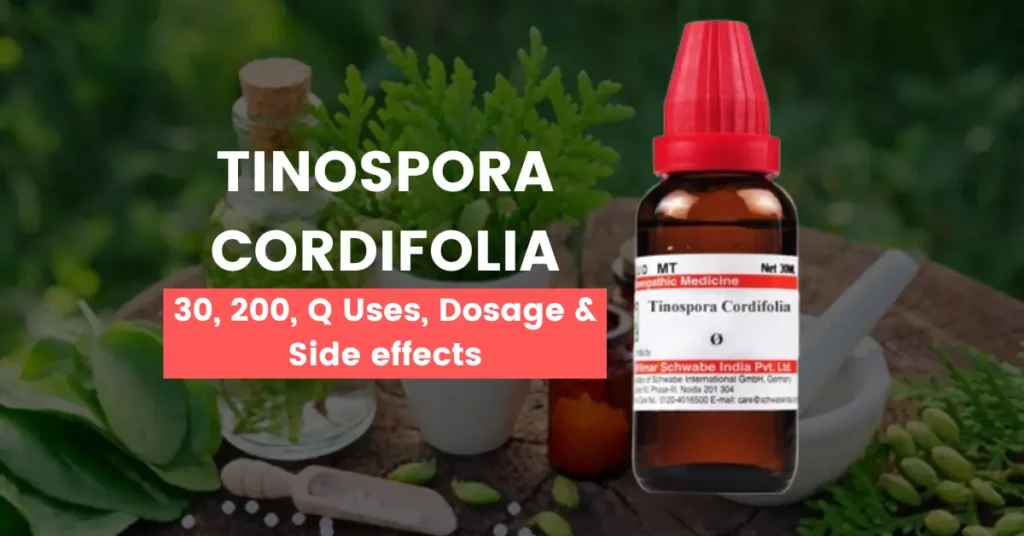 Tinospora Cordifolia Q Benefits, Uses & Side Effects