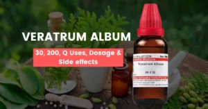 Veratrum Album 30, Veratrum Album 200 Uses & Benefits