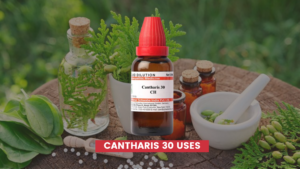Cantharis 30 Uses In Hindi