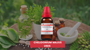 Chelidonium Majus Uses In Hindi