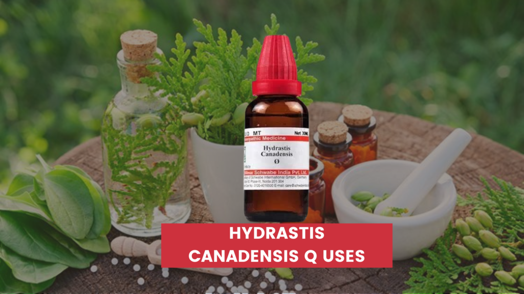 Hydrastis Canadensis Q Uses In Hindi