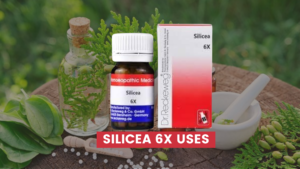 Silicea 6x Uses In Hindi