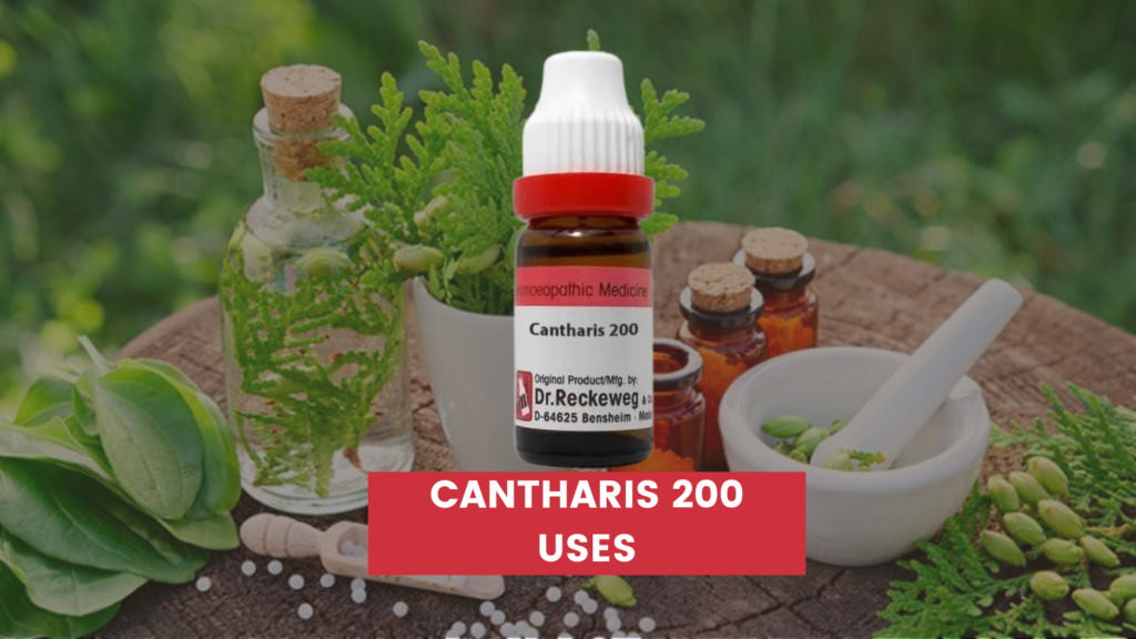 Cantharis 200 Uses In Hindi