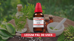 Ledum Pal 30 Uses In Hindi