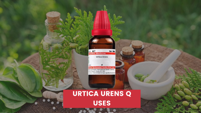 Urtica Urens Q Uses In Hindi
