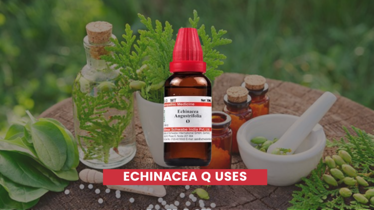 Echinacea Q Uses In Hindi