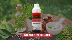 Wiesbaden 30 Uses In Hindi