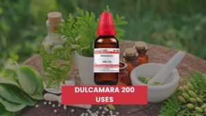 Dulcamara 200 Uses In Hindi